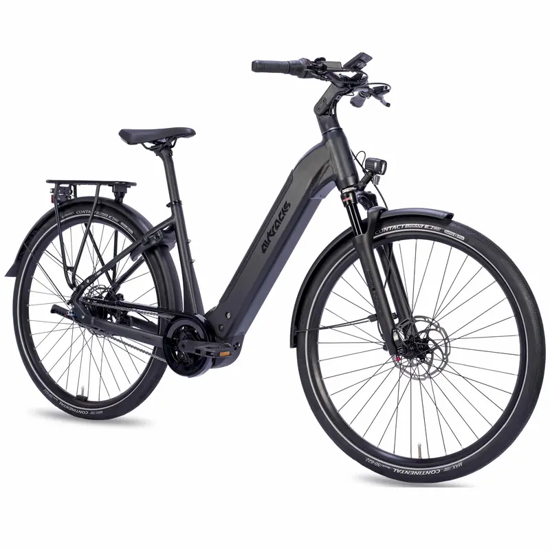28" Damen E-Bike City Fahrrad Ls Wave Terra Ct2 Bosch Performance Line Smart System Powertube 600 Wh 8 X Gang Shimano Nexus Rücktrittbremse Schwarz 3