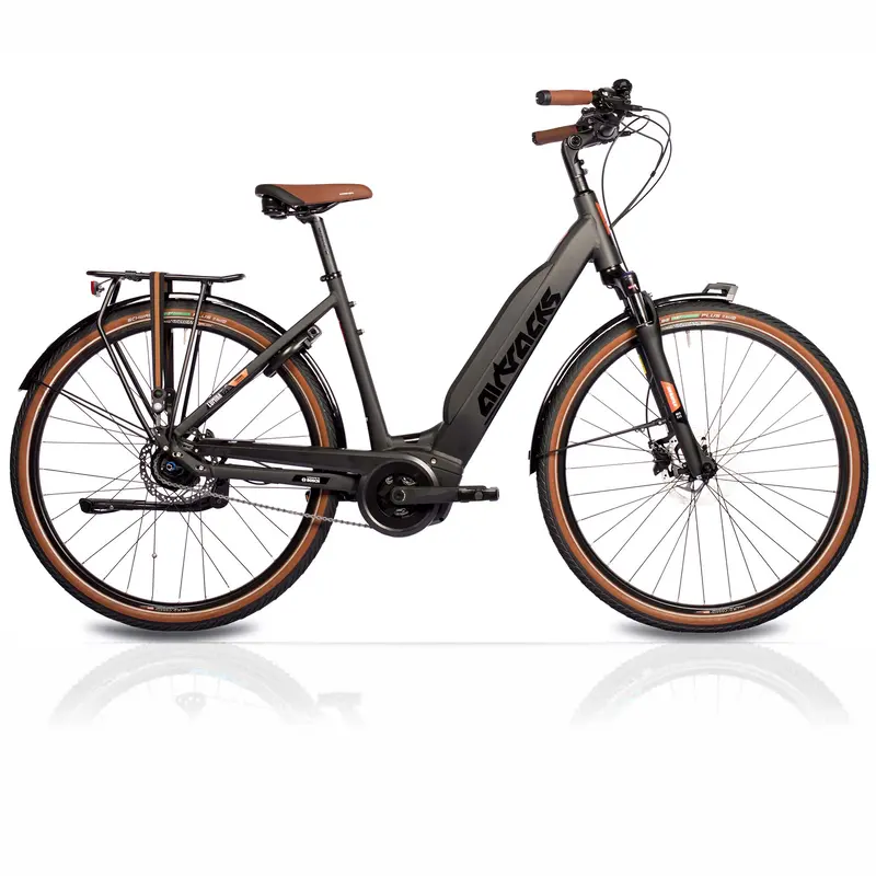 28" Damen E-Bike Ls Trekking Fahrrad Lumina Bosch Active Plus Line 500 Wh 8S Shimano Nexus 1