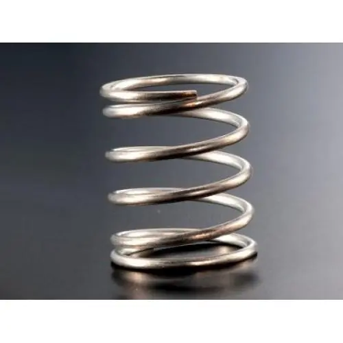 Axon World Spec Spring, Sh C2.8, St-Sh-005 1