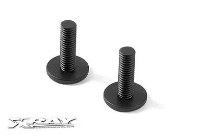 Composite Rear Body Holder Screw (2) 1