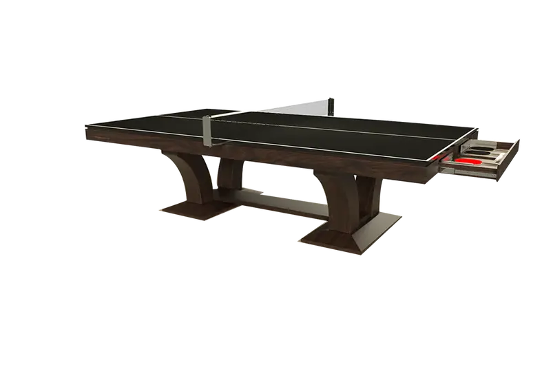 Divine Ping Pong Table 2