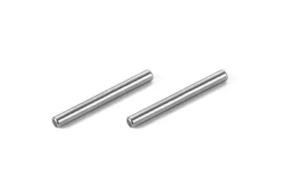 Front Arm Pivot Pin (2) 1
