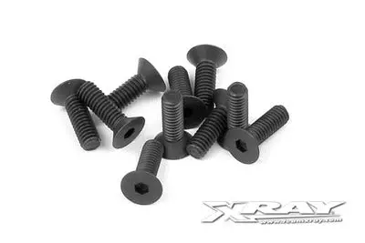 Hex Screw Sfh M2.5X6  (10) 1