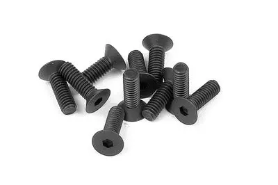 Hex Screw Sfh M2.5X8  (10) 1