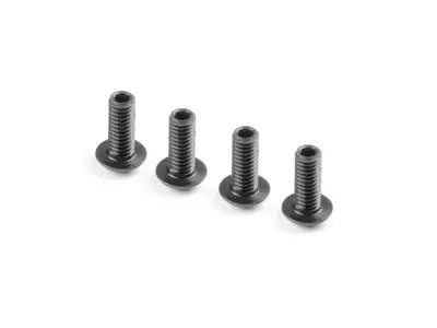 Hex Screw Sh M4x10 With Hex From Bottom  (4) 1