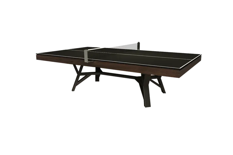 Industria Ping Pong Table 1