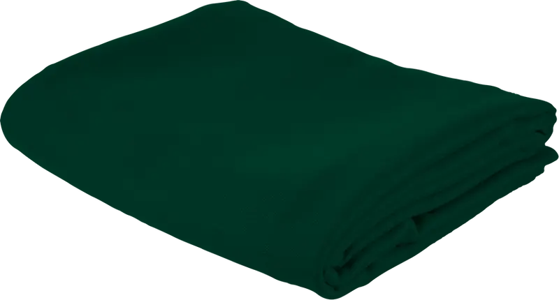 Master Speed Billiard Cloth For 10' Table 5