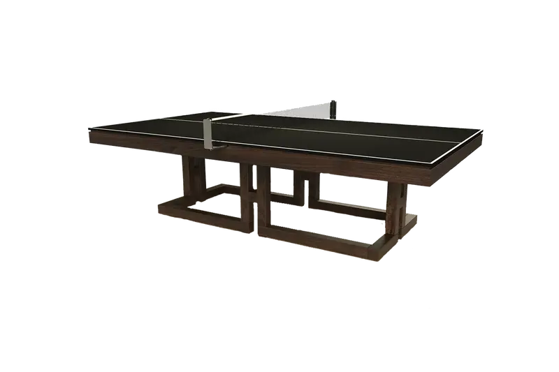 Maze Ping Pong Table 1