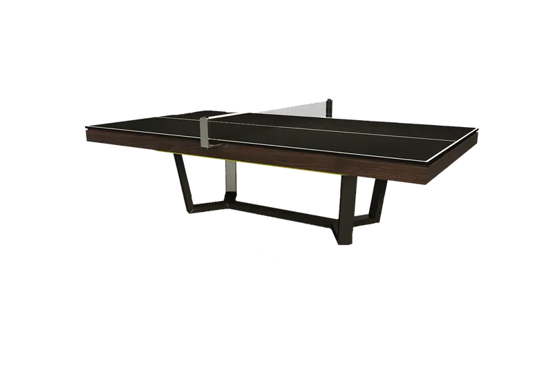 Onyx Ping Pong Table 1