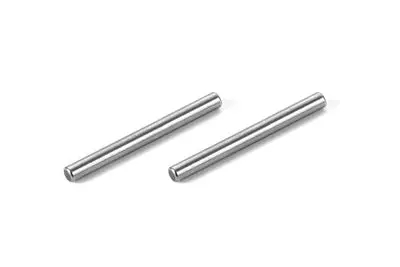 Rear Arm Pivot Pin (2) 1