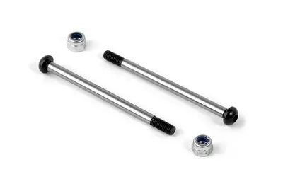 Rear Lower Outer Pivot Pin Screw 3Mm (2) 1