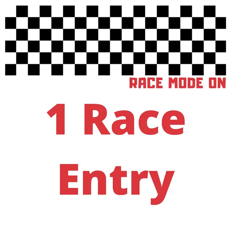 Regular Night Race Entry 1