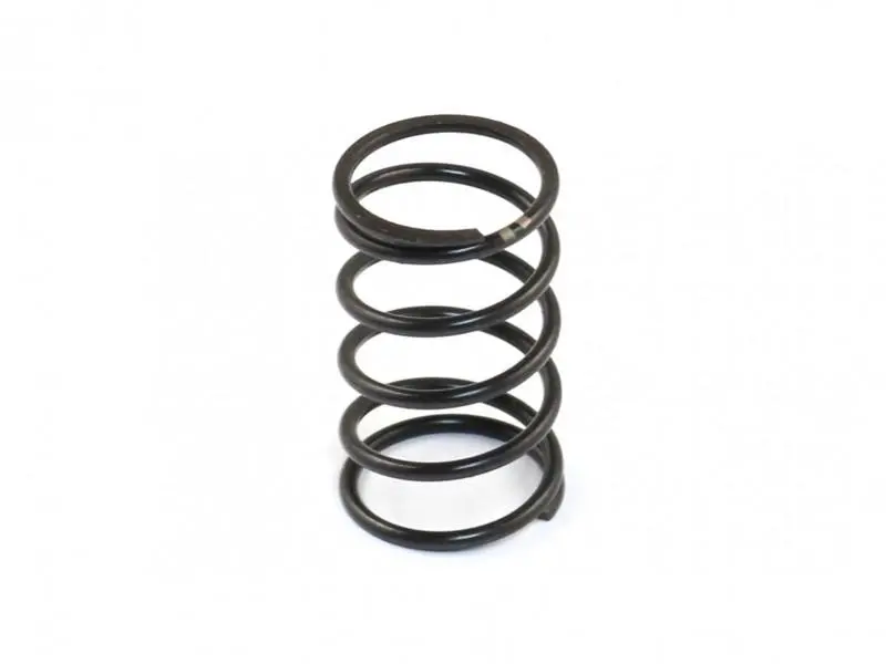 Roche Rc Damper Spring, Center, Dvs-W, Medium, 330127 1