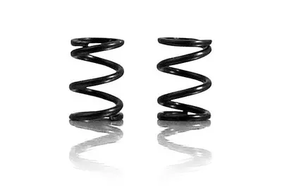 Spring For Gear Box - Hard (2) 1
