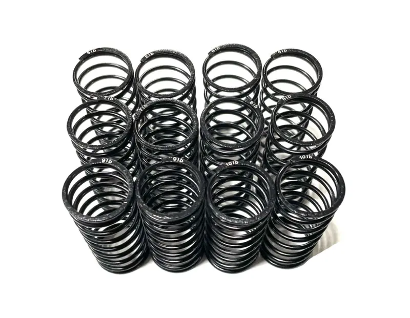 Team Gfrp Big Bore Rated Springs 1