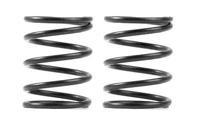 Xray 3S Spring-Set C=4.0 (2) 1