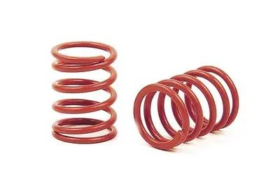 Xray Spring-Set C=6.3 - Hard - Front (2) 1
