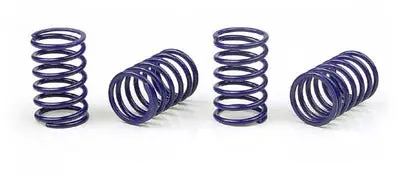 Xray Spring-Set D=1.7 (25 Lb) C=3.6 Black (4) 1