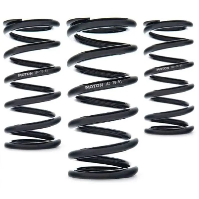 Ast Linear Race Spring Set — 300Mm Length, 80 N/Mm Rate, 61Mm Id 1